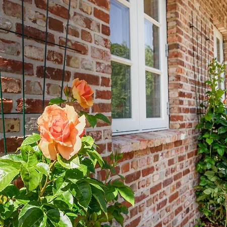 Semesterbostad Emmas Hus